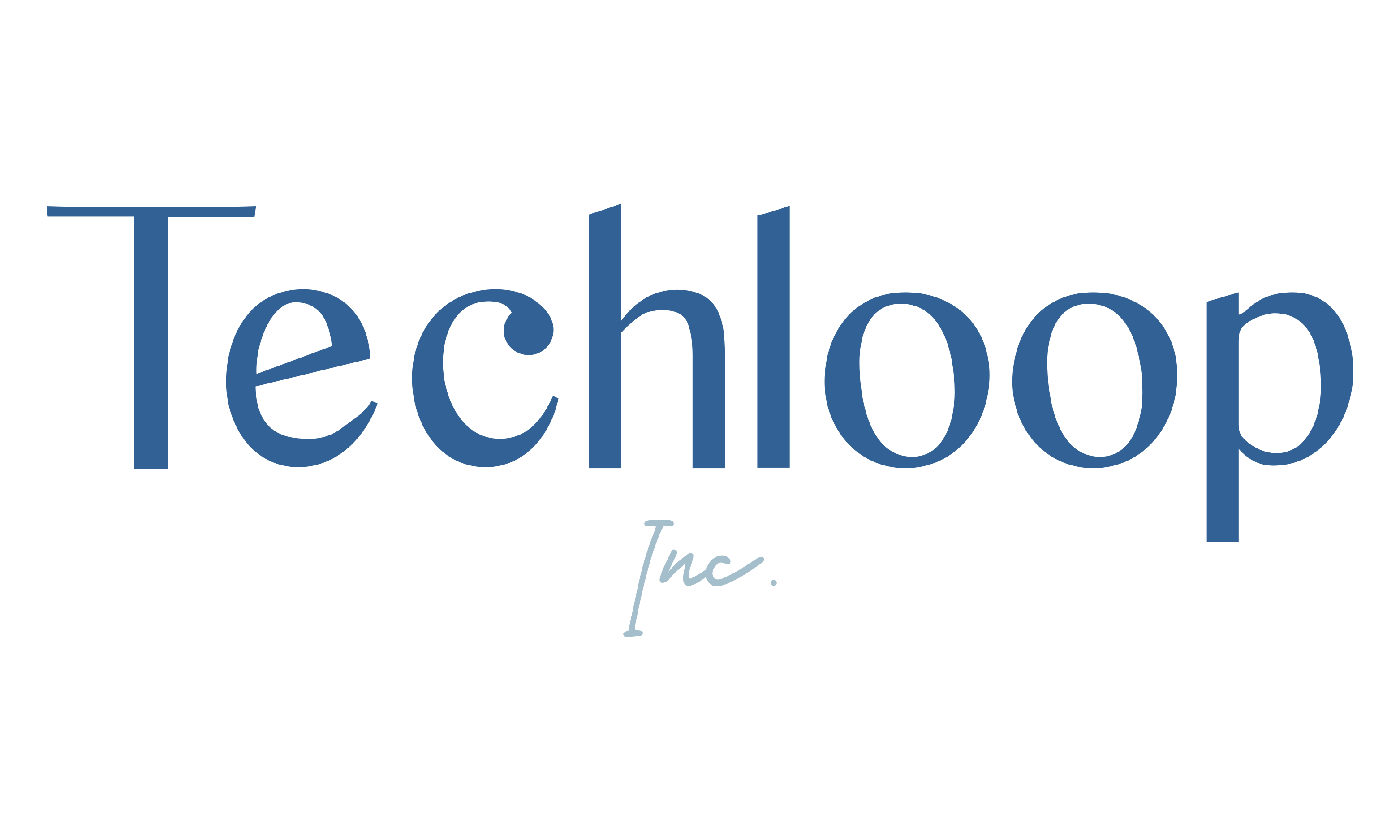 Techloop Inc 